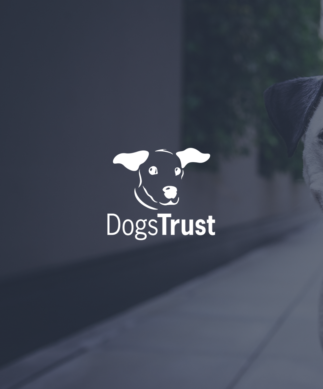 Dogs Trust